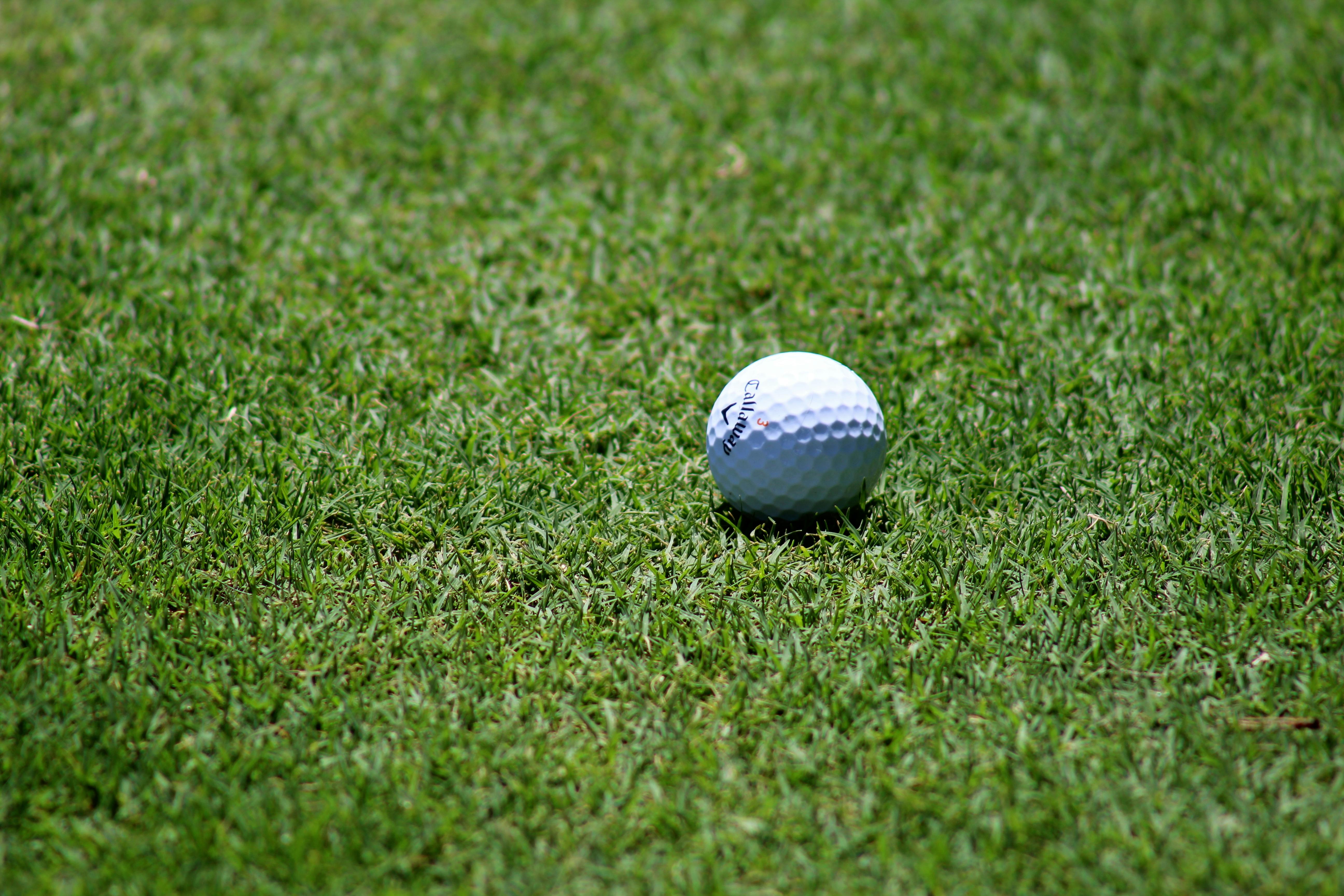 Golf ball on green